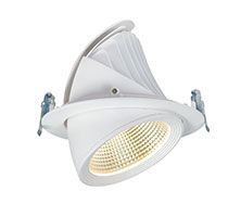 LED Down light